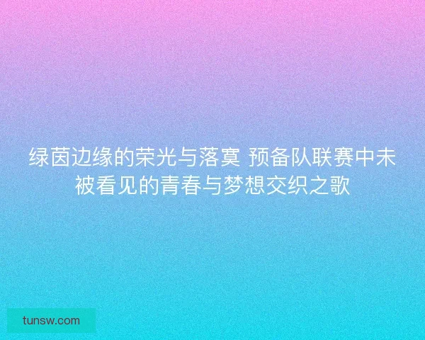 绿茵边缘的荣光与落寞 预备队联赛中未被看见的青春与梦想交织之歌